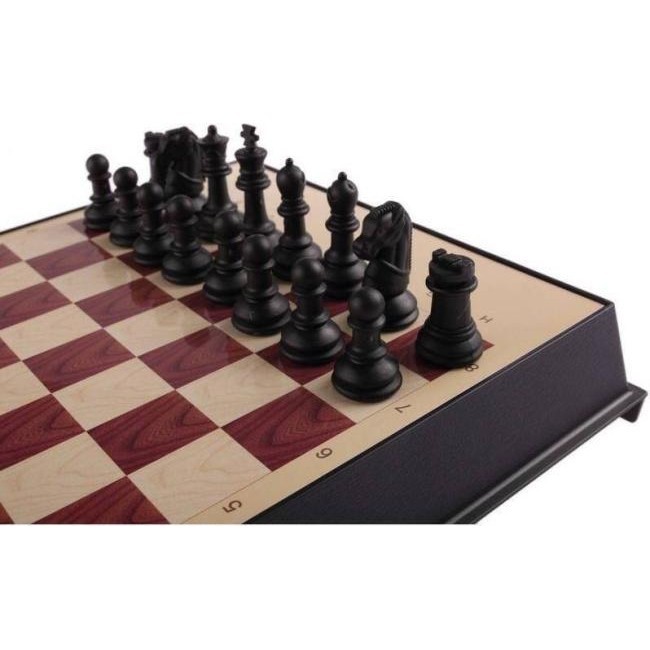Mini tablero de ajedrez, juego de ajedrez, juego de damas, backgammon...
